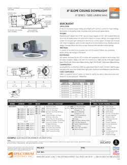 8" SLOPE CEILING DOWNLIGHT