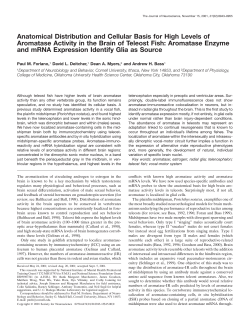 Anatomical Distribution and Cellular Basis for High Levels of