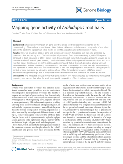 Mapping gene activity of Arabidopsis root hairs | SpringerLink