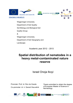 Spatial distribution of nematodes in a heavy metal