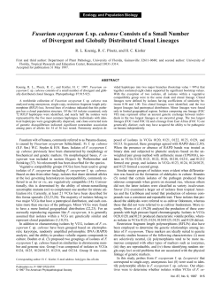 Fusarium oxysporum f. sp. cubense Consists of a Small Number of