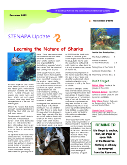 STENAPA Newsletter-December 2009.pub