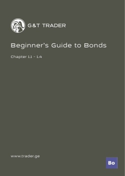 Beginner`s Guide to Bonds