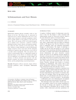 Schistosomiasis and liver fibrosis