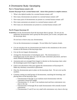 A Yeast Population Study