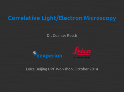 Correlative Light/Electron Microscopy