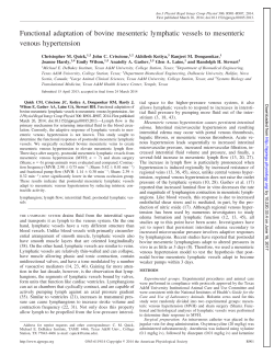 Functional adaptation of bovine mesenteric lymphatic vessels to
