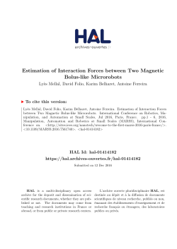 Estimation of Interaction Forces between Two Magnetic Bolus