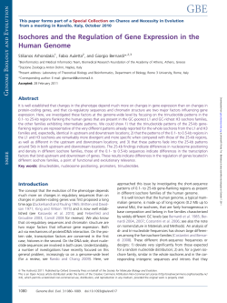 Isochores and the Regulation of Gene Expression in the Human