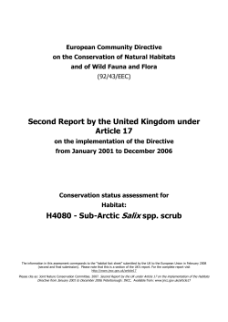 H4080 - Sub-Arctic Salix spp. scrub