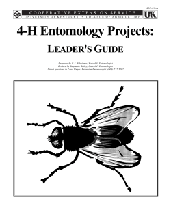 4-H Entomology Projects: Leader`s Guide