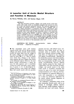 A Lamellar Unit of Aortic Medial Structure and Function in Mammals
