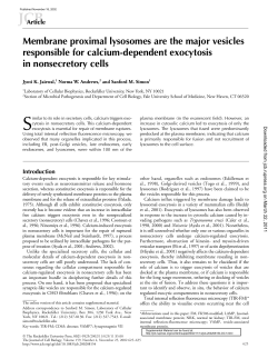 Membrane proximal lysosomes are the major vesicles responsible