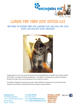 Caring for Your new Kitten/CAT