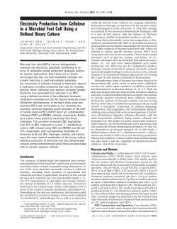Electricity Production from Cellulose in a Microbial Fuel Cell Using a
