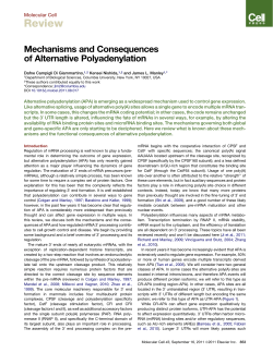 Mechanisms and Consequences of Alternative Polyadenylation