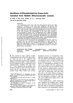 Synthesis of Phospholipid by Foam Cells Isolated
