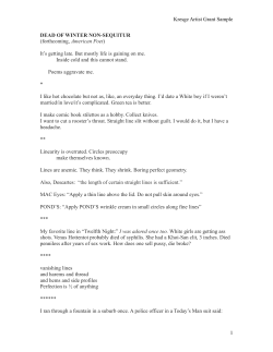 Kresge Artist Grant Sample 1 DEAD OF WINTER NON