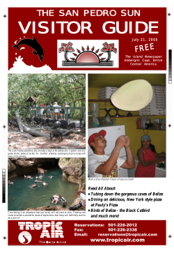The San Pedro Sun Visitor Guide
