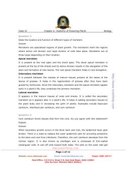 to NCERT Solutions for class 11 Biology Chapter 6