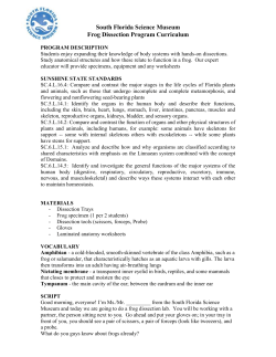 Fetal Pig Dissection - South Florida Science Center and Aquarium