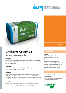 DriTherm Cavity 38 - Knauf Exeed Insulation LLC