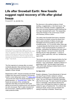 Life after Snowball Earth: New fossils suggest rapid
