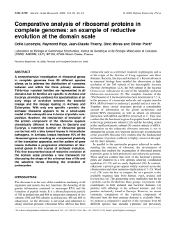 Comparative analysis of ribosomal proteins in