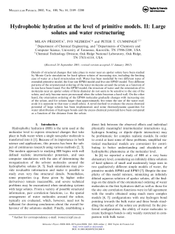 Hydrophobic hydration at the level of primitive