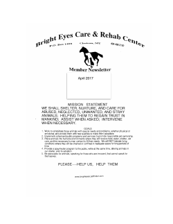 April 2017 Bright Eyes Newsletter