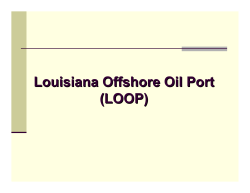 Louisiana Offshore Oil Port (LOOP)