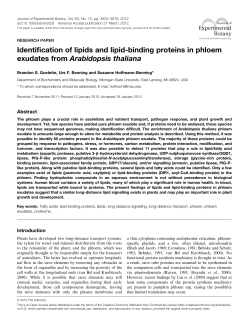 changes in DNA Identification of lipids and lipid