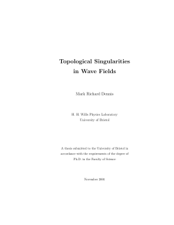 Topological Singularities in Wave Fields