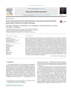 Brain monoamine levels and behaviour of young and adult chickens