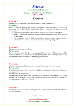 Forests: Our Lifeline