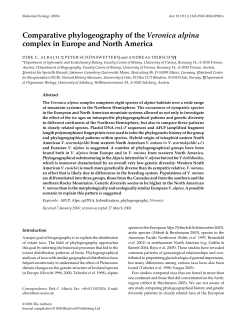 Comparative phylogeography of the Veronica alpina complex in