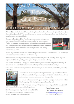 Artesian Mud mixed with minerals from shales deep below the