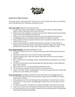 Hungry Pests in USDA`s Crosshairs The invasive species on the