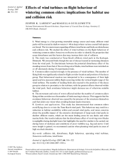 Effects of wind turbines on flight behaviour of wintering common