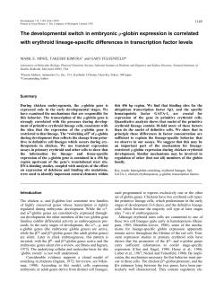 The developmental switch in embryonic &rho;