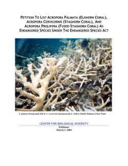 petition to list acropora palmata (elkhorn coral)