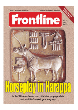 Horseplay in Harappa