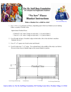 No Sew&rdquo; Fleece Blanket Instructions