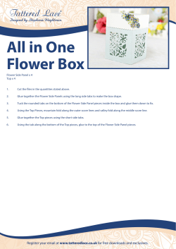 All in One Flower Box