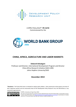 china, africa, agriculture and labor markets