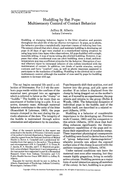Huddling by Rat Pups: Multisensory Control of Contact Behavior