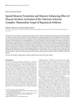 Spatial Memory Formation and Memory