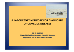 a laboratory network for diagnostic of camelids diseases