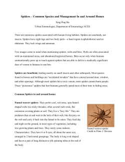 Spiders &ndash; Common Species and Management In and Around Homes