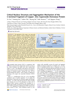 Critical Nucleus Structure and Aggregation